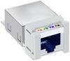 OBO Bettermann ASM-C6 GS zabudovaný modul RJ45 CAT 6