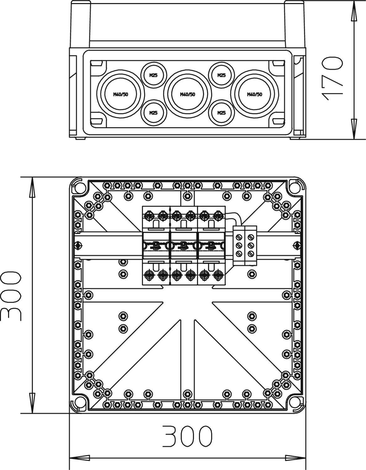 Technický výkres zásuvky so zobrazenými rozmermi: šírka 300 mm, výška 300 mm a hĺbka 170 mm, znázorňuje vnútornú štruktúru.