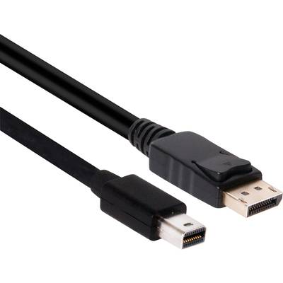 Čierny kábel s DisplayPort konektorom na pravej strane a Mini DisplayPort konektorom na ľavej strane.