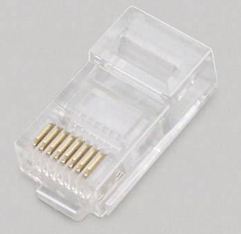 Detailný záber konektora RJ45, používaného pre ethernetové pripojenia. Viditeľné sú zlaté kontakty, plastové puzdro je priehľadné.
