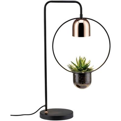 Moderná stolová lampa s kruhovým rámom, v ktorom je umiestnená malá rastlina. Medeno sfarbená lampa visí nad rastlinou.