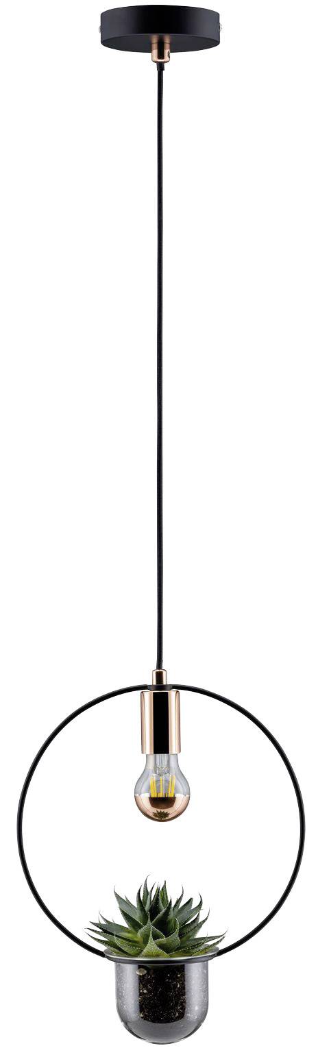 Závesná lampa v modernom dizajne: Čierna okrúhla štruktúra s integrovanou rastlinou a centrálnou žiarovkou.