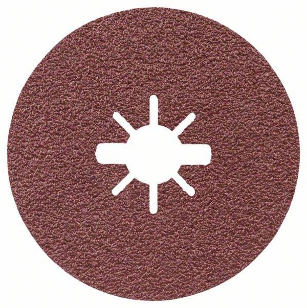 Bosch Accessories 2608619171 2608619171  Priemer 125 mm Ø otvoru 22.23 mm uhlíková ocel  1 ks