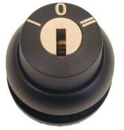 Eaton 216895 M22S-WS3 Pulsante a chiave Anello frontale in plastica Chiave Nero 1 pz.