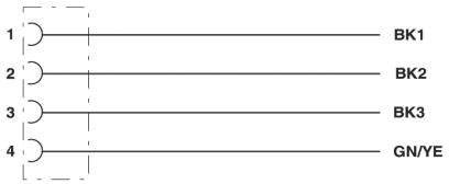 'Znázornenie štyroch paralelných káblov, očíslovaných od 1 do 4, s označeniami BK1, BK2, BK3, GN/YE vedľa nich.'