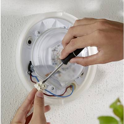 Osoba pripevňuje elektrické káble na lampu pomocou skrutkovača.