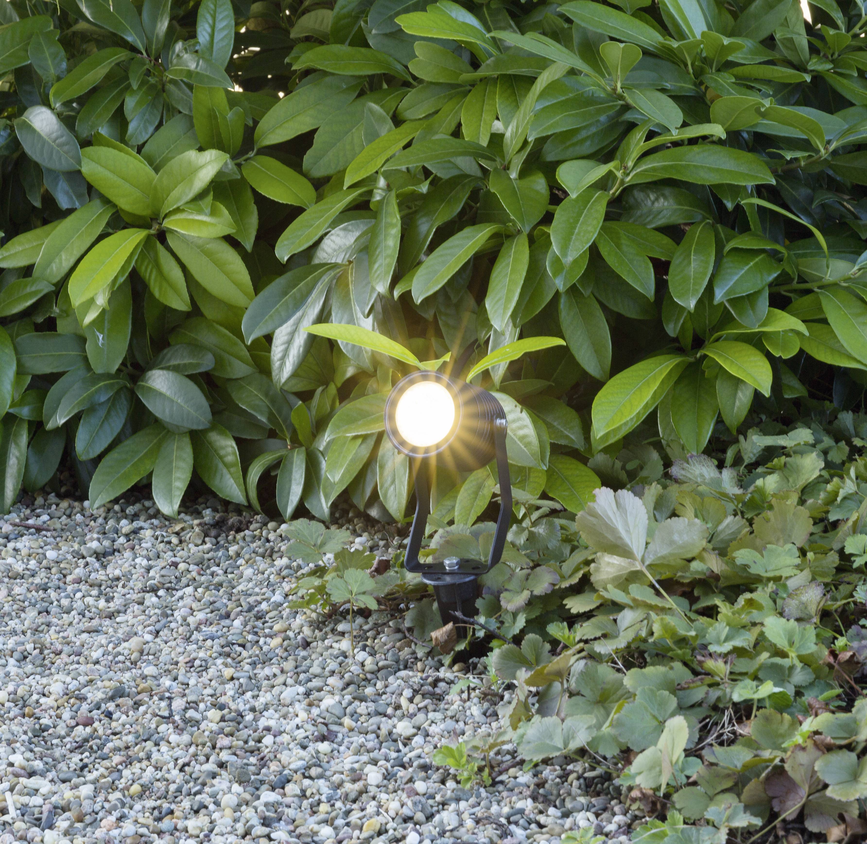 Záhradná lampa svieti na štrkovú cestu, obklopenú zelenými rastlinami a kríkmi.