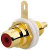 Rutenbeck 17000305 adaptér zásuvka, rovná 1 ks