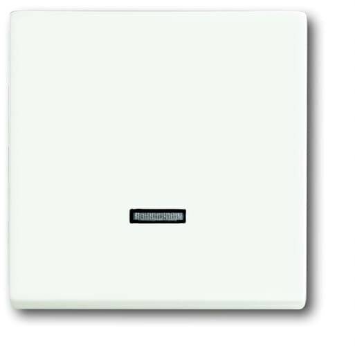 Busch-Jaeger 6543-884-101 2CKA006599A2963 Zonder opdruk Wit, Verkeerswit 1 stuk(s) afbeelding