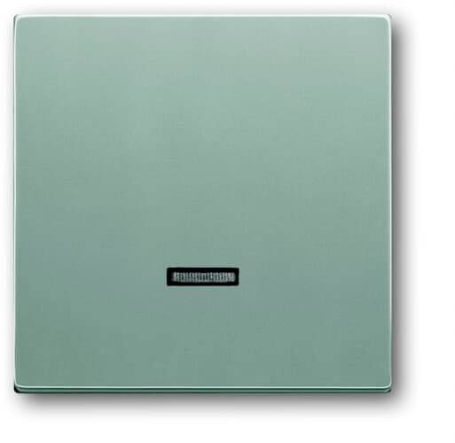 Busch-Jaeger 6543-83-101 2CKA006599A2887 Zonder opdruk Aluminium, Witaluminium (RAL 9006) 1 stuk(s) afbeelding
