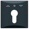 Busch-Jaeger kryt kľúčový pepínač, kľúčové tlačidlo do akéhokoľvek počasia 44 (IP44) antracitová, čiernosivá 2CKA001710A1894