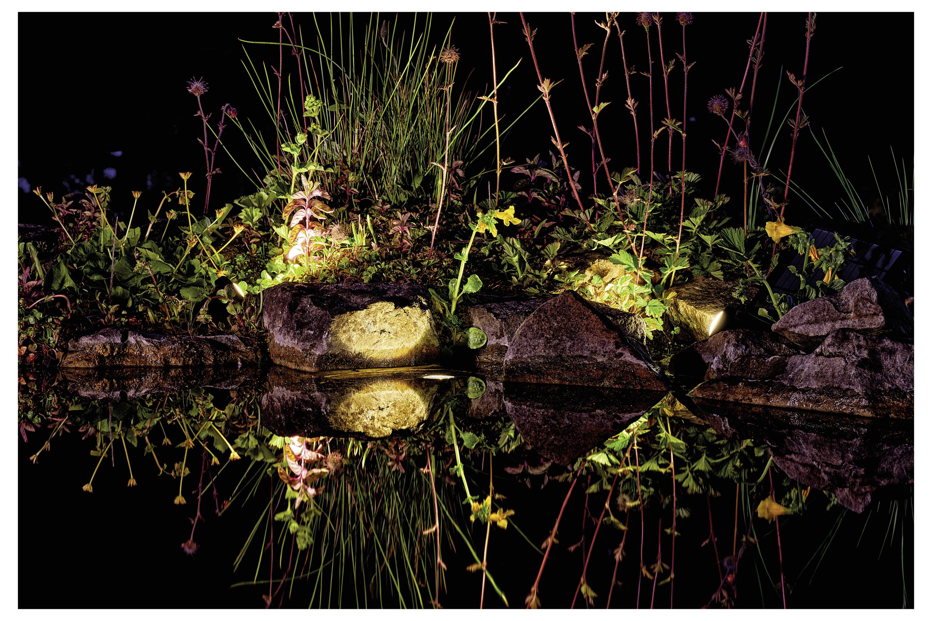 Nočná záhradná scéna s osvetlenými rastlinami a kameňmi odrážajúcimi sa v pokojnej vodnej hladine, čím vytvára pokojnú a tichú atmosféru.