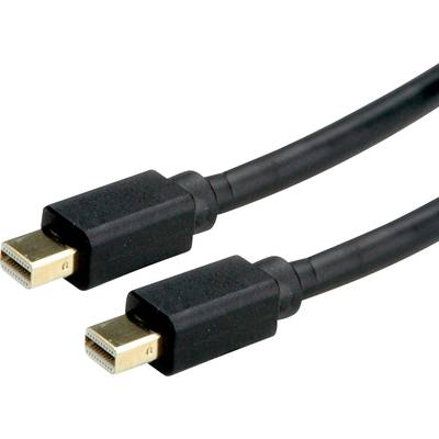 Dva čierne Mini DisplayPort káble vedľa seba, ktoré sa používajú na prenos video a audio signálov.