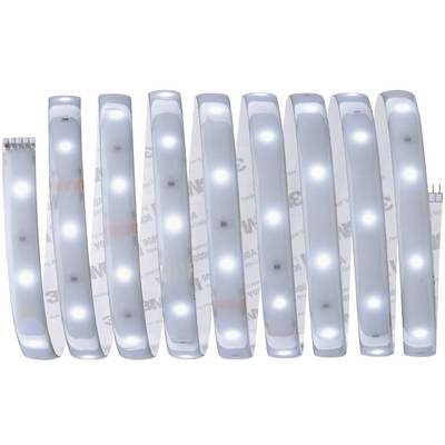 Flexibilná LED svetelná lišta, stočená do niekoľkých slučiek, ukazuje jasne svietiace LED diódy s rovnomerným rozptylom svetla.
