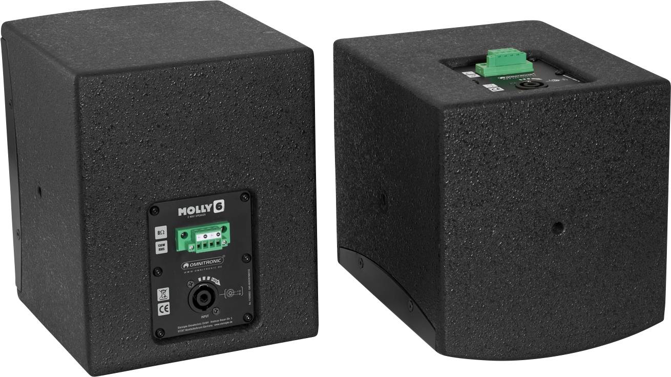 Dva čierne reproduktory s prípojkami na zadnej strane, jeden ukazuje prípojky, druhý prednú stranu.