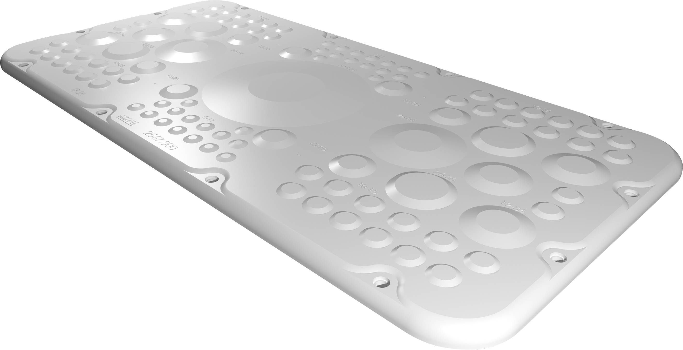 Rittal AX 2567.300 Piastra flangiata (L x L) 221 mm x 436 mm Plastica Grigio 1 pz.