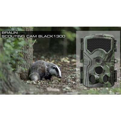 Jazvec v lese vedľa stromu. Vpravo na obrázku maskovaná fotopasca, model 'Braun Scouting Cam Black1300'.