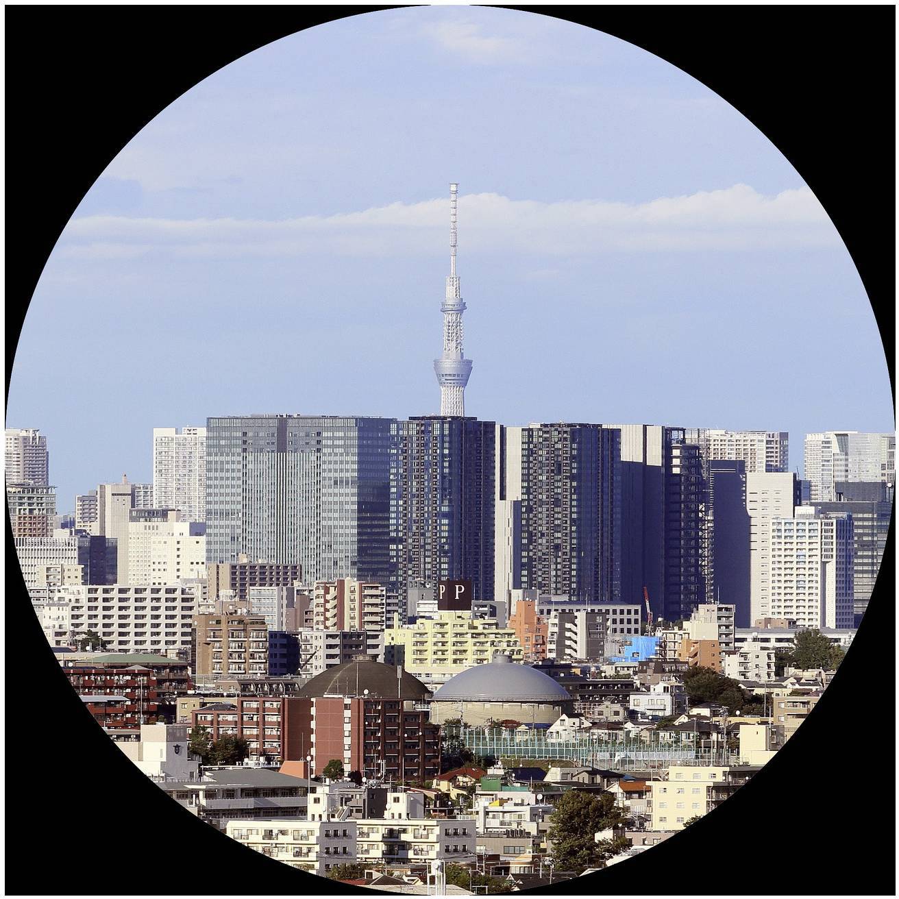 Tokijská panoráma s Tokyo Skytree v centre, obklopená modernými budovami a modrým nebom v pozadí.
