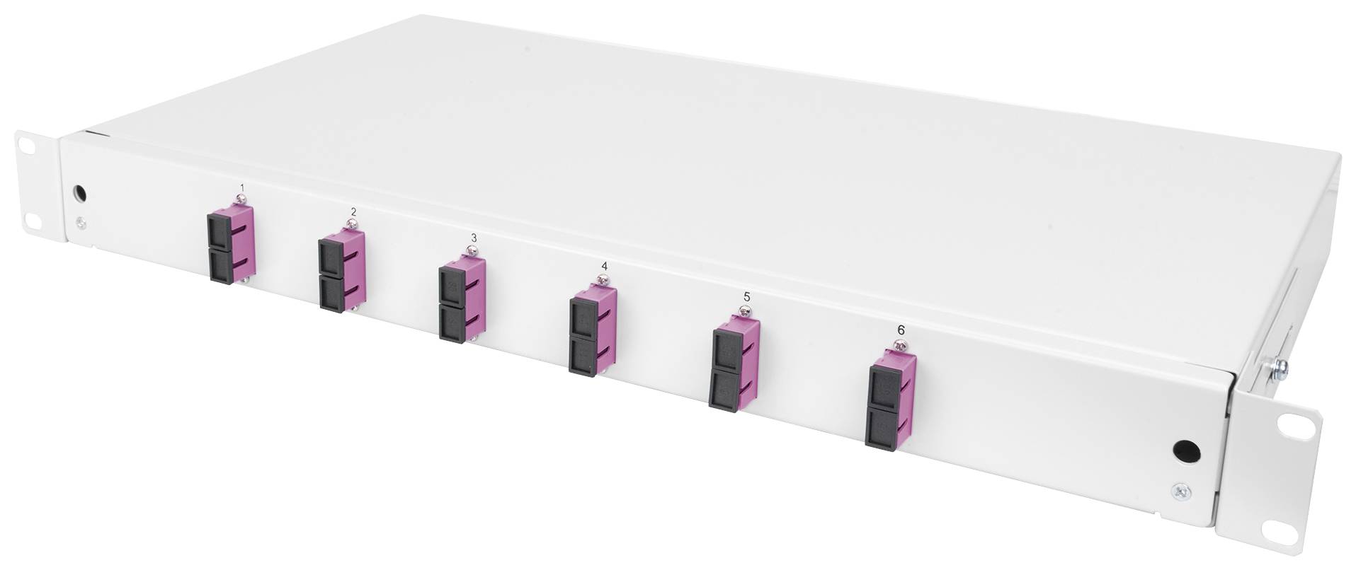 Biely sieťový distribútor vo formáte rackmount s šiestimi ružovými konektormi na prednej strane.