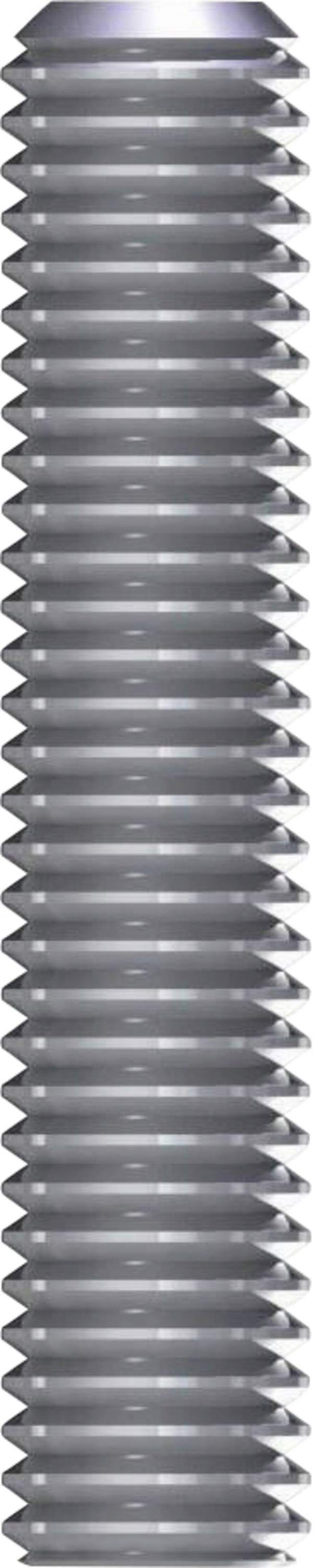 Reisser 2955  závitová tyč M12 100 mm nerezová ocel A2 1 ks