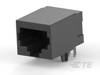 TE Connectivity TE AMP High Performance Mod Jacks High Performance Mod Jacks 5558066-1 1 ks
