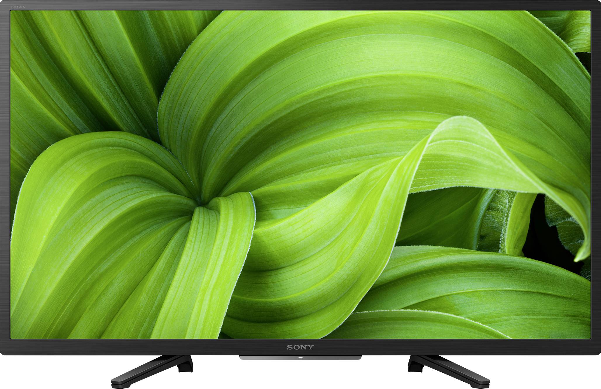 Veľké zelené listy na obrazovke Sony televízora. Listy majú zvlnené línie a živú zelenú farbu.
