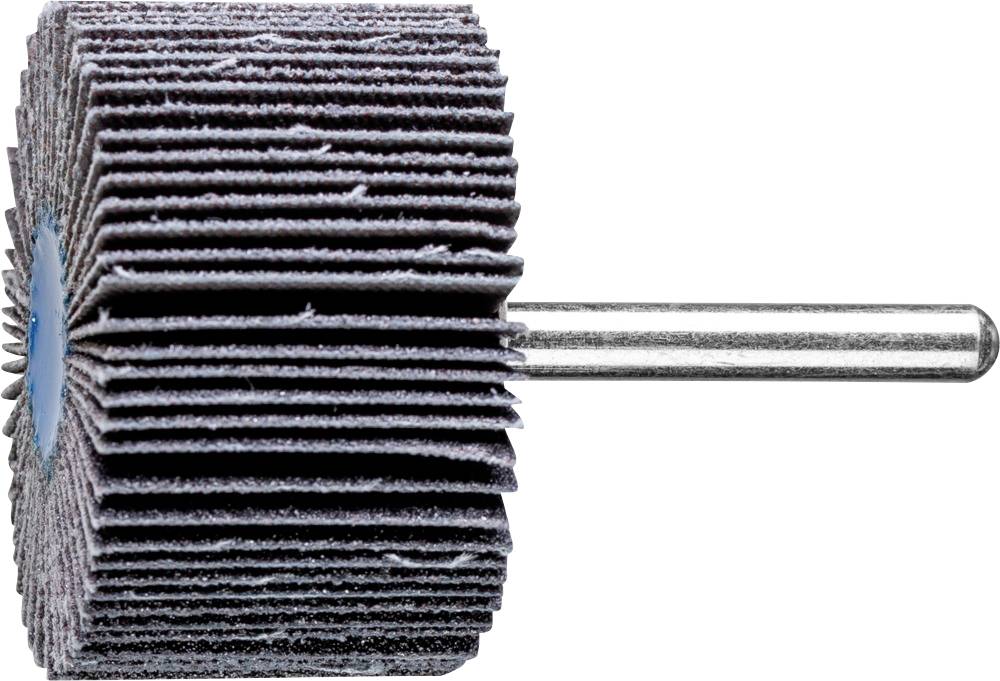 PFERD 44450080 Lamelsliber Diameter 50 mm 10 stk