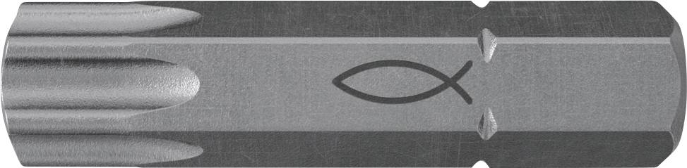 Fischer FPB T50 5/16 557844 Inserto TX 1 pz.