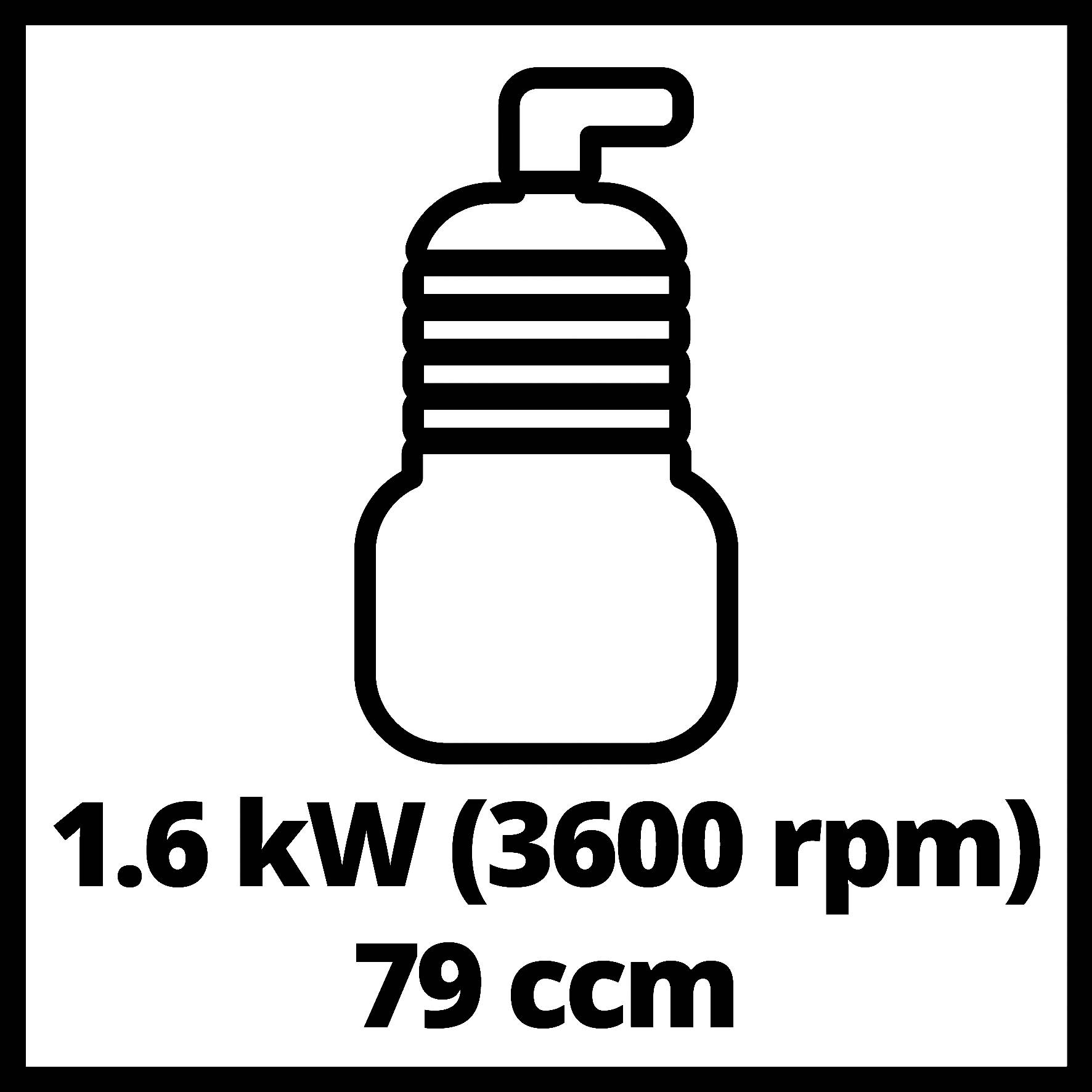 Symbol motora s označením '1,6 kW (3600 ot/min) 79 cm³'.