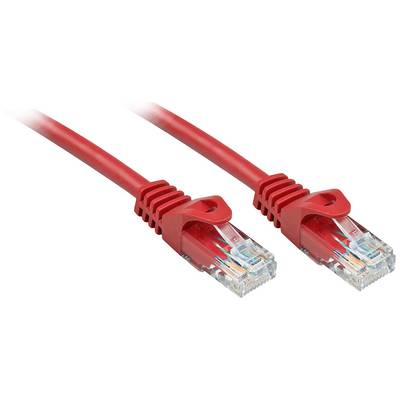 Dva červené ethernetové káble s priehľadnými konektormi na bielom pozadí.