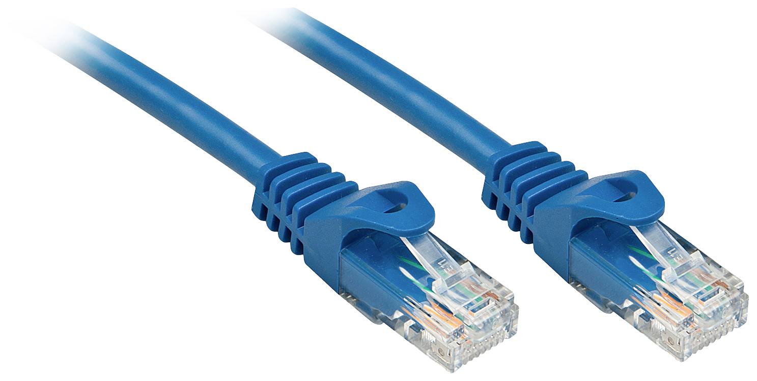 Dva modré ethernetové káble s priehľadnými konektormi, ktoré sa používajú na sieťové pripojenia.