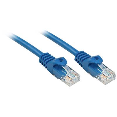Dva modré ethernetové káble s priehľadnými konektormi, ktoré sa používajú na sieťové pripojenia.