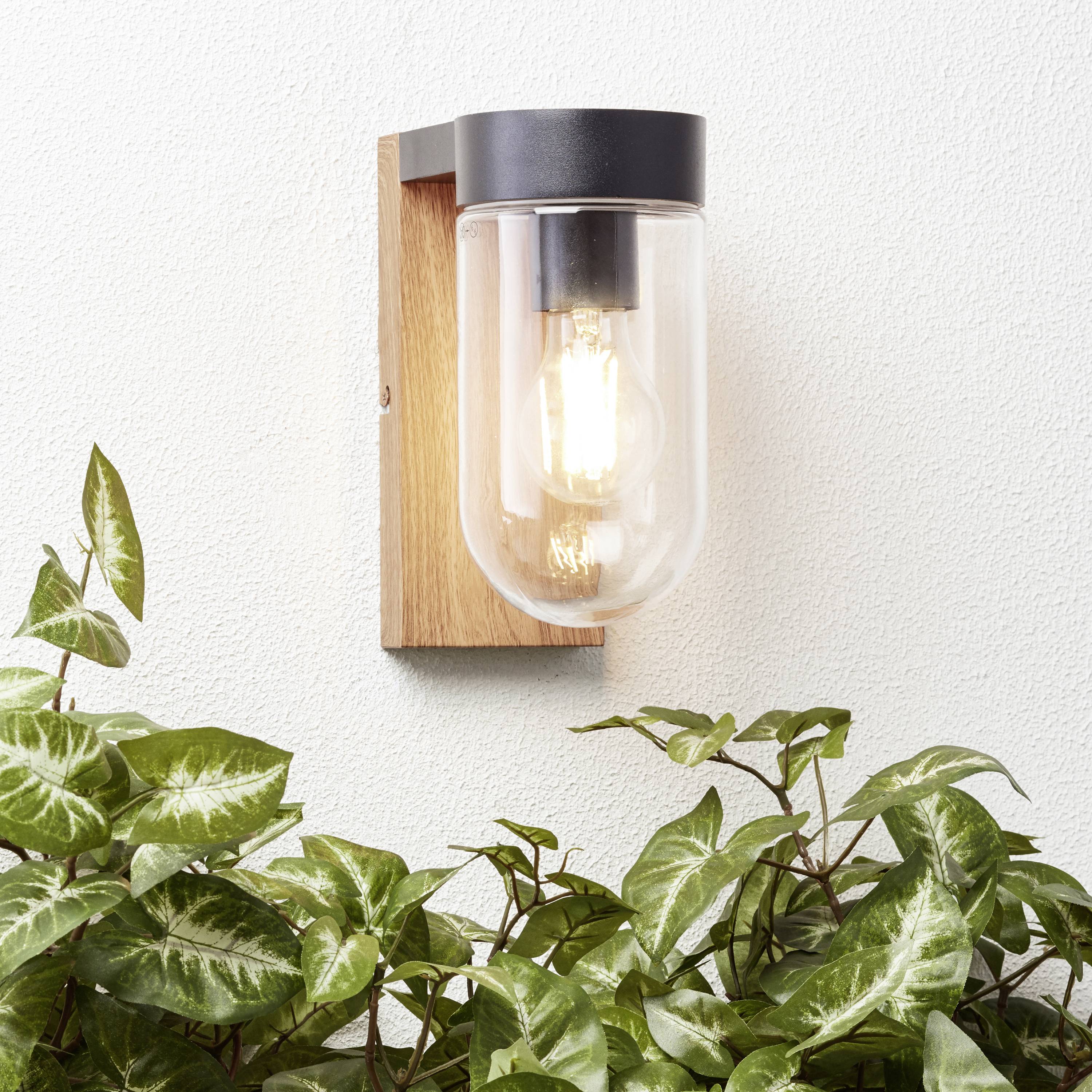 Nástenná lampa s dreveným držiakom, priesvitným sklom a viditeľnou žiarovkou pripevnená nad zelenými listami na bielej stene.