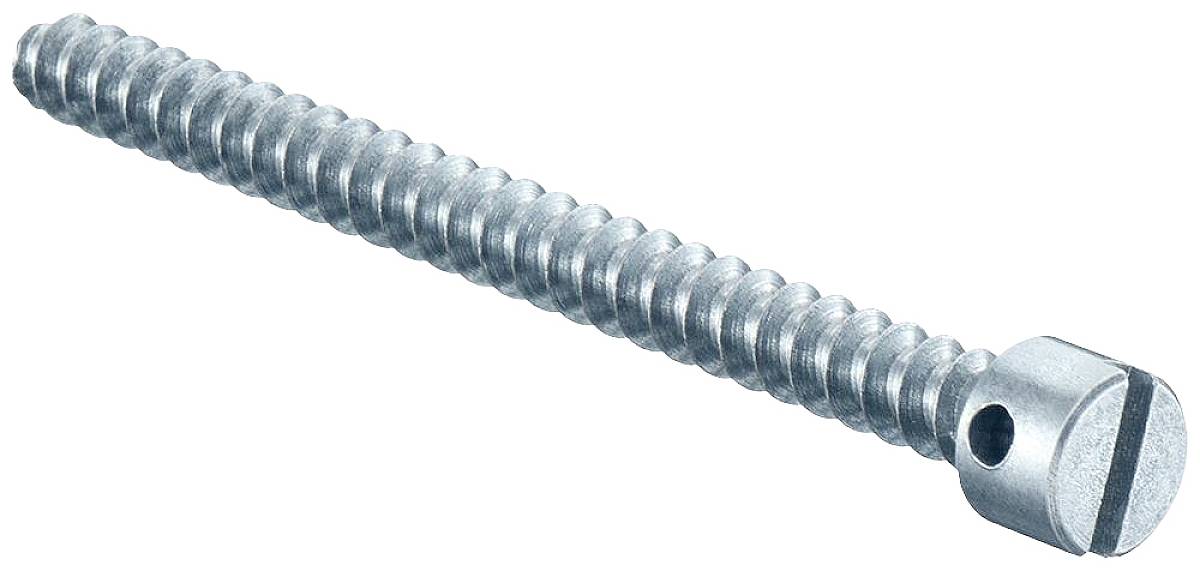 Kaiser Elektro 2444-40 Vite di chiusura 100 pz.