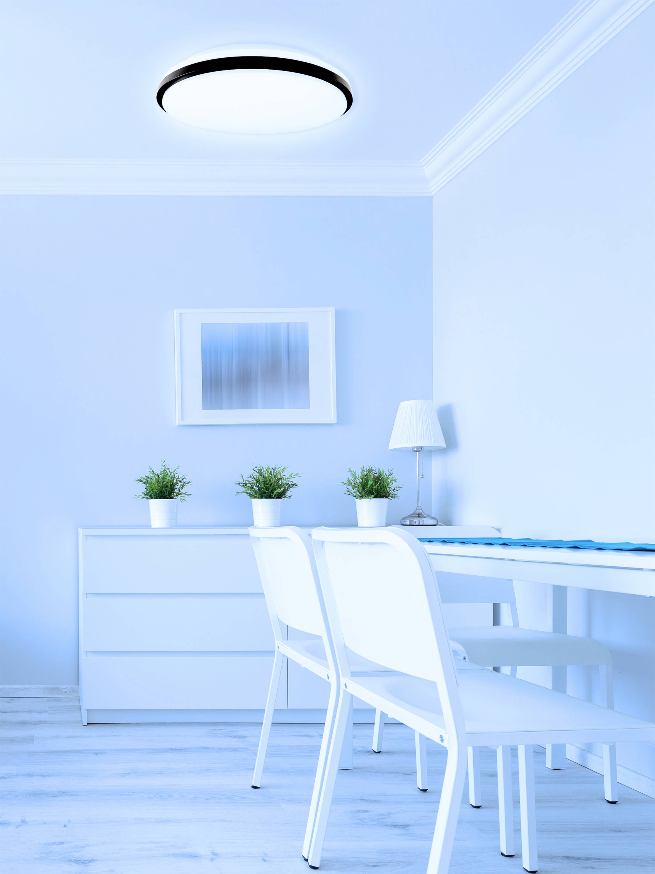 Svetlá miestnosť s dvoma bielymi stoličkami pri stole, tri malé rastliny, lampa na strope, moderný, minimalistický štýl.