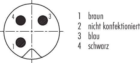 Diagram kábla s 4-pólovým konektorom: 1 - hnedá, 2 - nepripojenej, 3 - modrá, 4 - čierna.