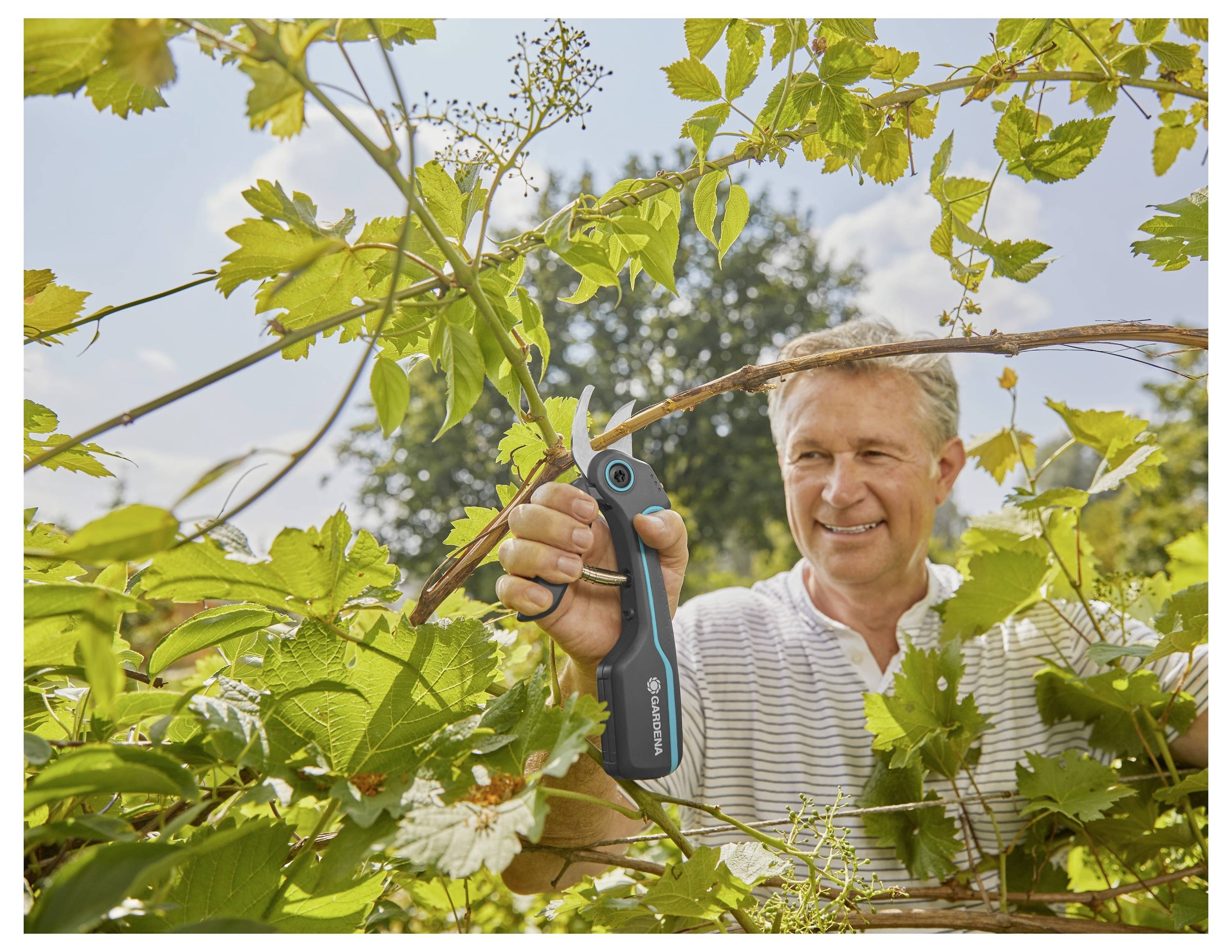 Osoba drží prístrojový nástroj na rezanie, striha vetvy v záhrade, obklopená hustým zeleným listím pod jasnou, čistou oblohou.