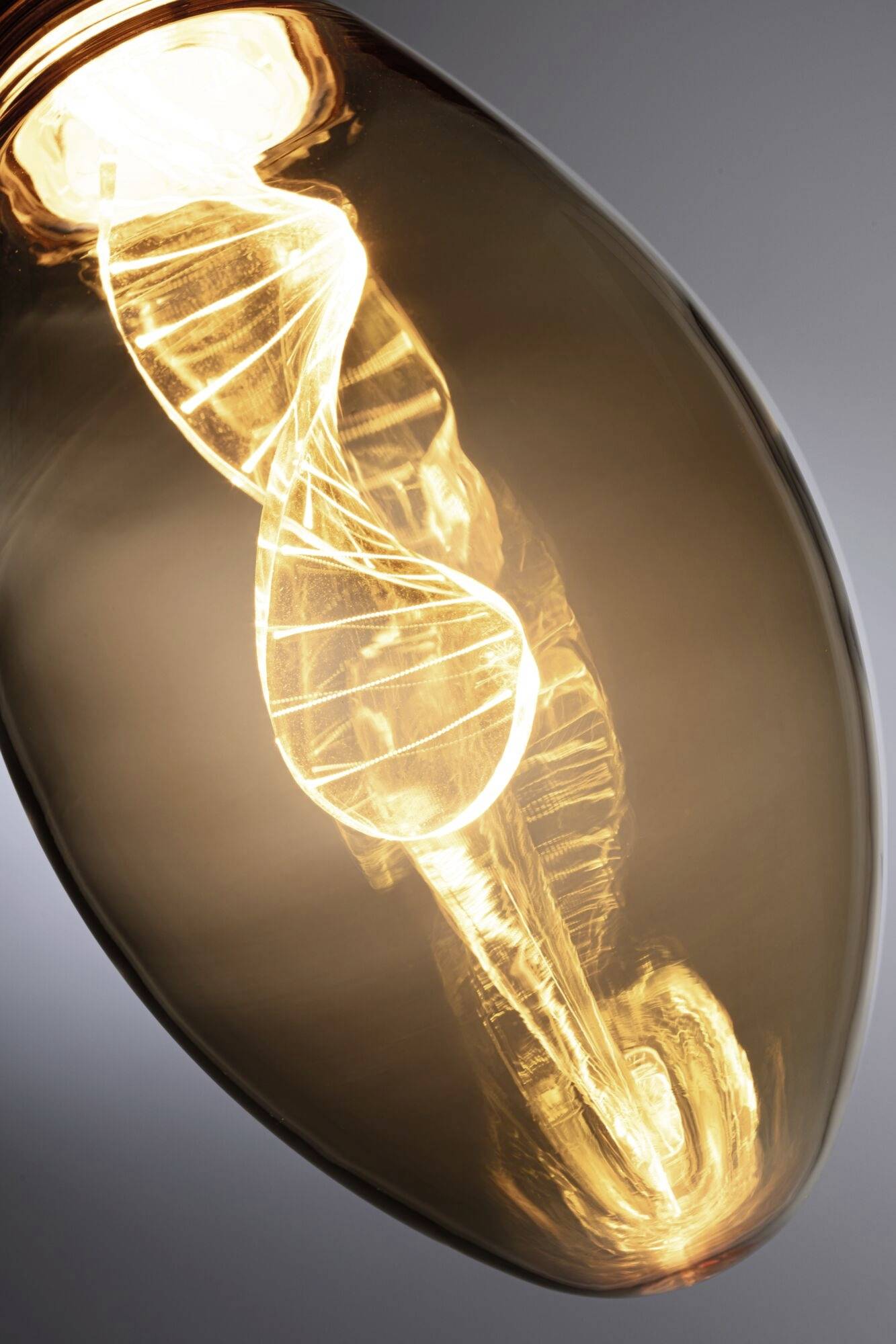 Žiarovka so špirálovou žeraviacou niťou, ktorá vyžaruje teplé svetlo, pripomína vizuálne DNA helixu.