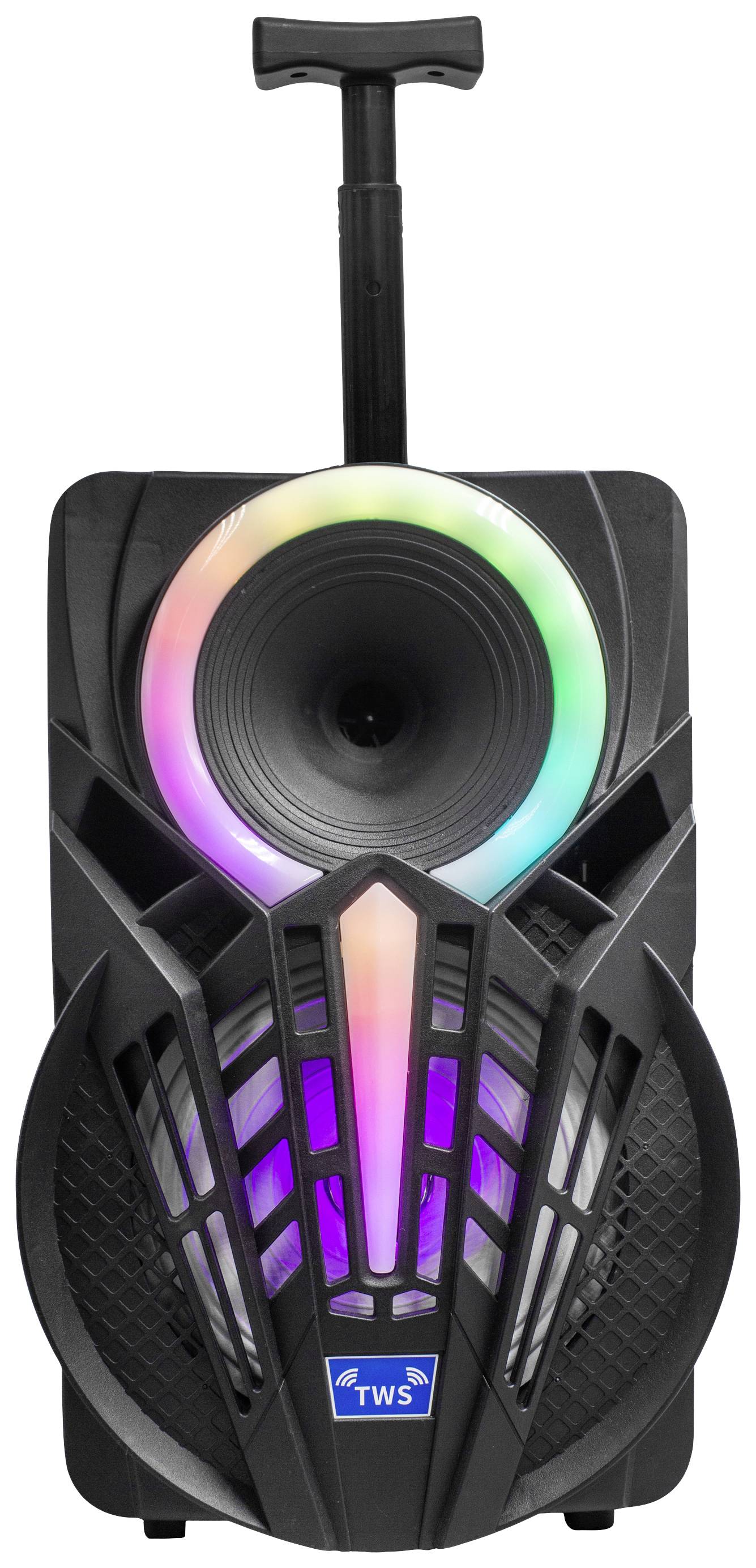 Denver TSP-301 Party speaker 20.3 cm 8 inch 12 W 1 stuk(s)