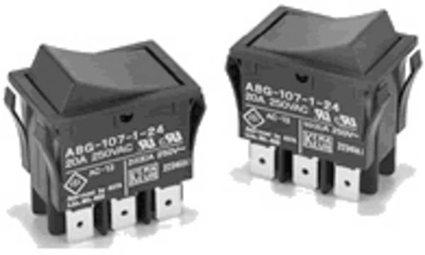 Omron kolískový spínač  250 V/AC 20 A  IP40 s aretáciou 1 ks Bag