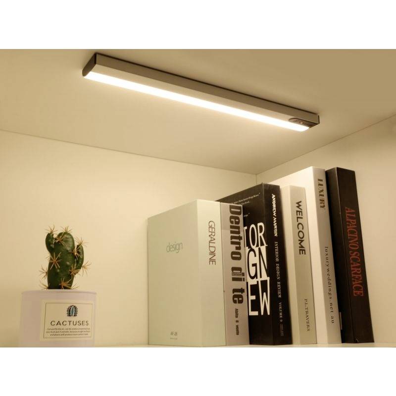 Polica s knihami a kaktusom, osvetlená moderným LED svietidlom. Knihy v modernej typografii, dekoratívny kaktus v kvetináči.