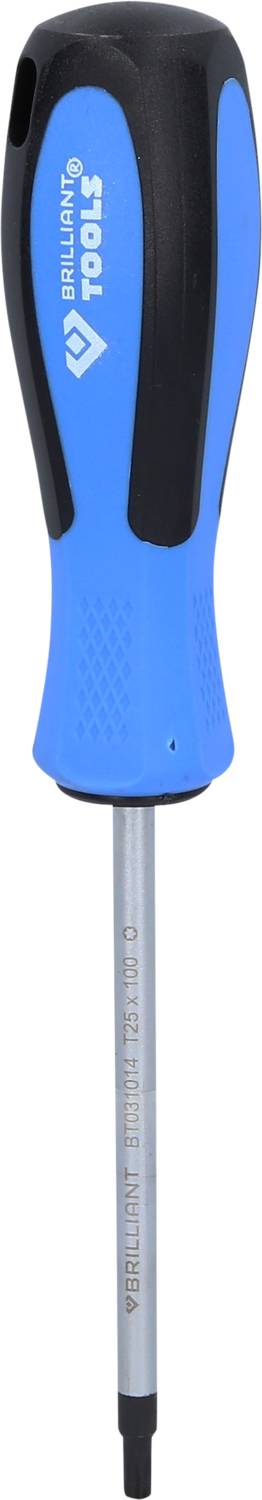 Brilliant Tools BT031014 Cacciavite Torx Dimensione (Cacciavite) T 25 Lunghezza della lama: 100 mm 1 pz.