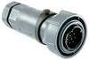 Bulgin PXP7010/06S/ST/0709 guľatý konektor DIN, 1 ks