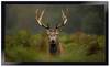 Siena HOME 585-1-441-054 Rohožka Peva Moose (d x š) 750 mm x 450 mm 1 ks