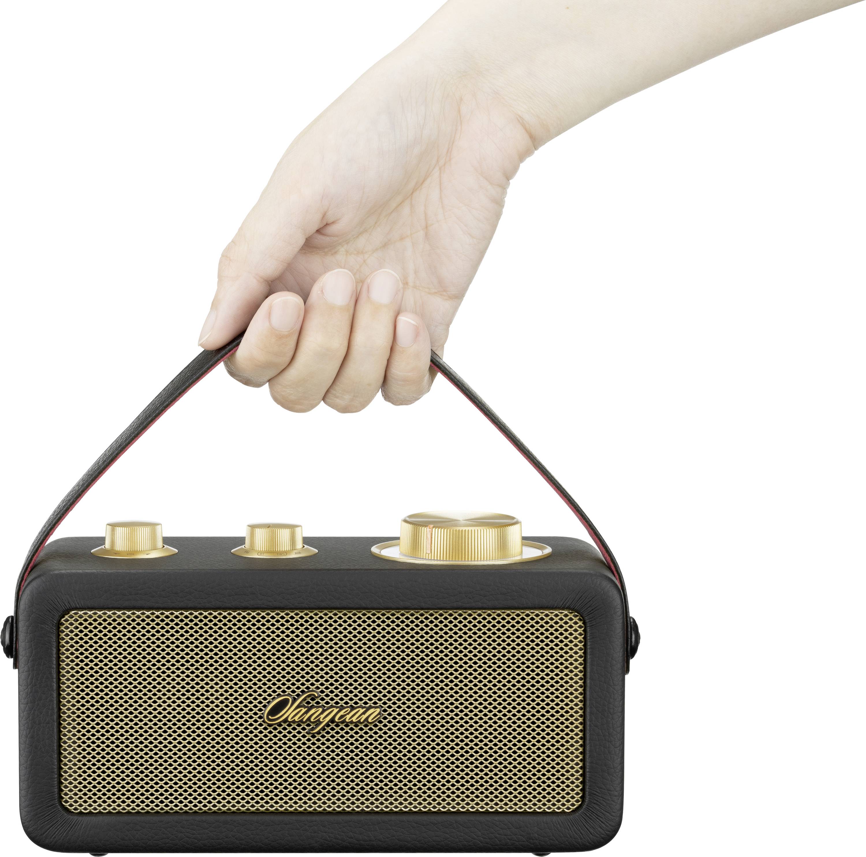 Sangean RA-101 A500522 Akumulátorové rádio, FM, Bluetooth, AUX, možné znovu nabíjať, čierna, zlatá-6