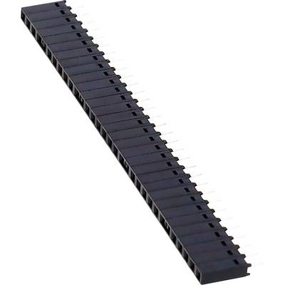 Čierny 40-pinový samica konektor so striebornými kolíkmi je zobrazený diagonálne cez biele pozadie.