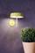 Žltá nástenná lampa svieti vedľa zelenej kvetináče pred šedou stenou.