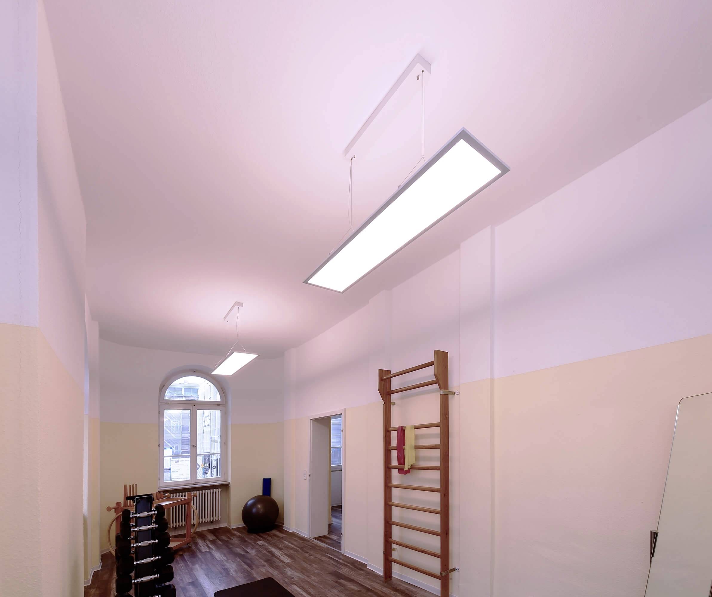 Svetlá miestnosť s telocvičnými zariadeniami, vrátane činiek a rebríkovej steny. Veľké okná prepúšťajú denné svetlo. Podlaha je pokrytá kobercom.