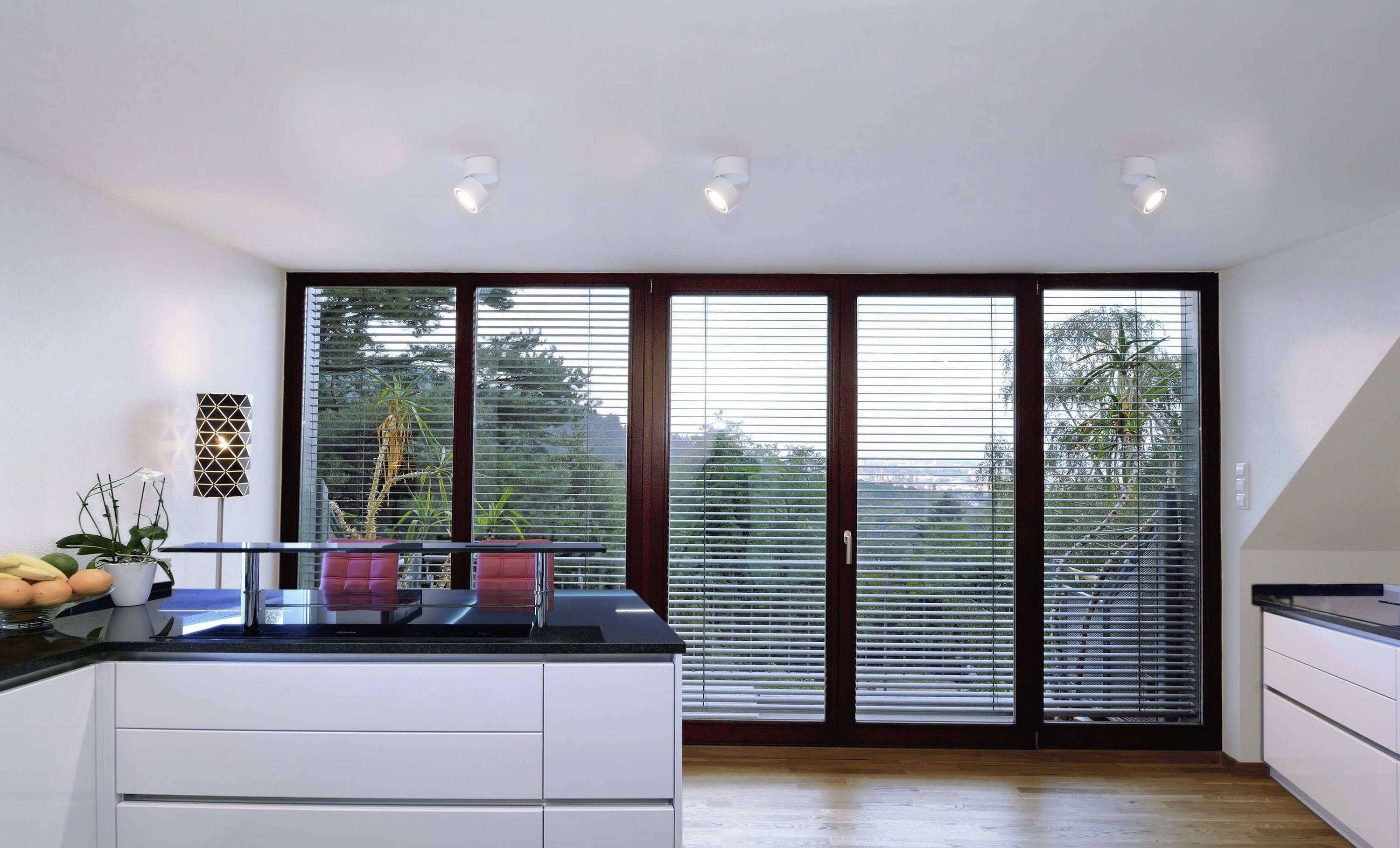 Moderná kuchyňa s bielymi skrinkami, čiernou pracovnou doskou, veľkou presklenou stenou a výhľadom do zelene.