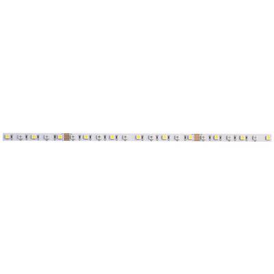 LED pás s rovnomerným usporiadaním LED diód na bielom pozadí. Vhodný na osvetľovacie účely.